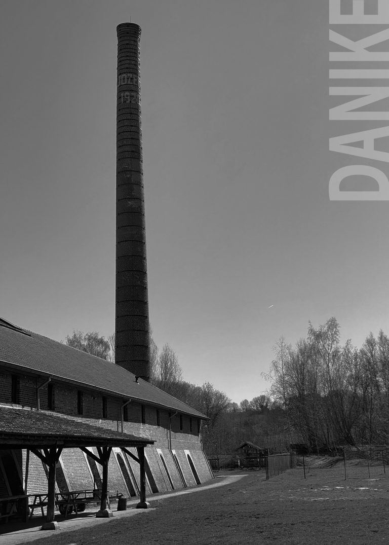 Danike-768x1075